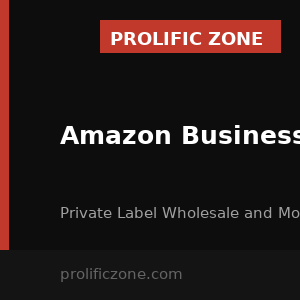 Amazon business models for reaching 6 figures